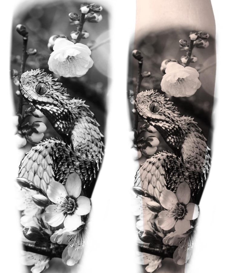 481668504_1029493372609571_1017669442756288662_n